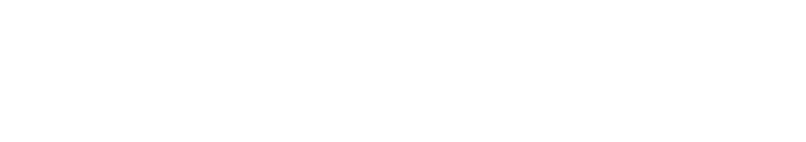 Alliance of International Corporate Advisors